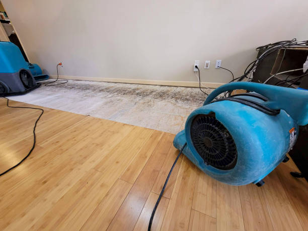 Professional Structural Drying technician working in Amherst, TX